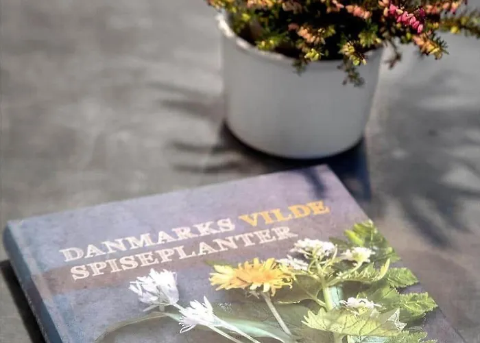 Holiday home Bv430-esbjerg-v-sjelborgdalen-40